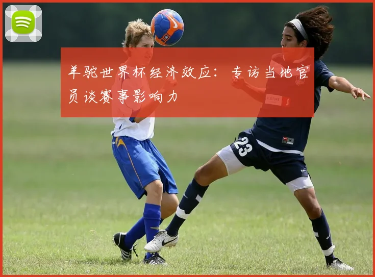 羊驼世界杯经济效应：专访当地官员谈赛事影响力