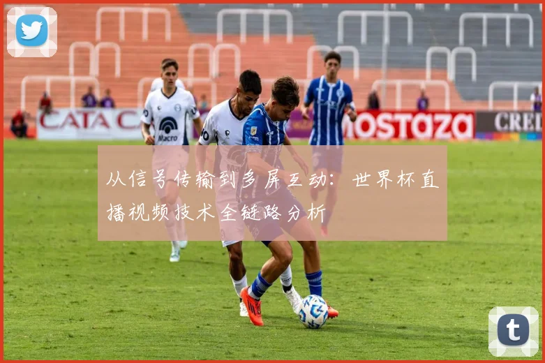 从信号传输到多屏互动：世界杯直播视频技术全链路分析