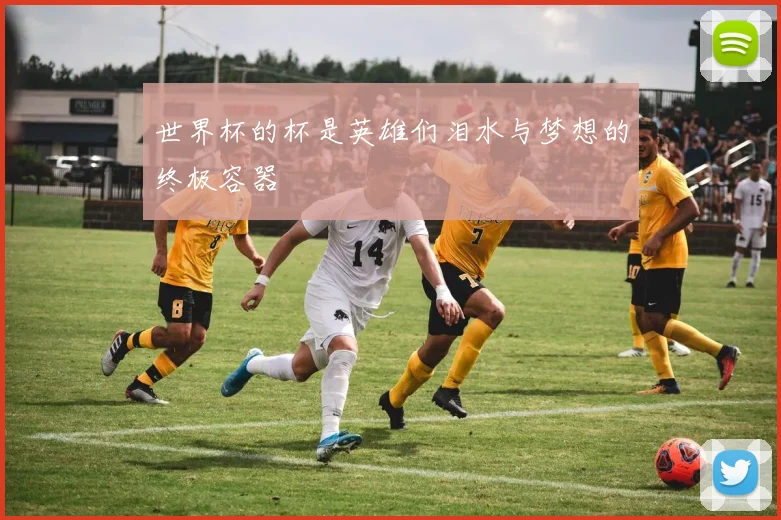 世界杯的杯是英雄们泪水与梦想的终极容器