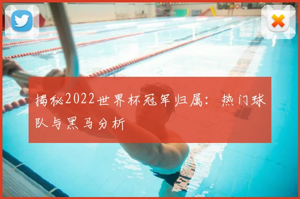揭秘2022世界杯冠军归属：热门球队与黑马分析