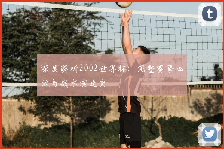 深度解析2002世界杯：完整赛事回放与战术演进史