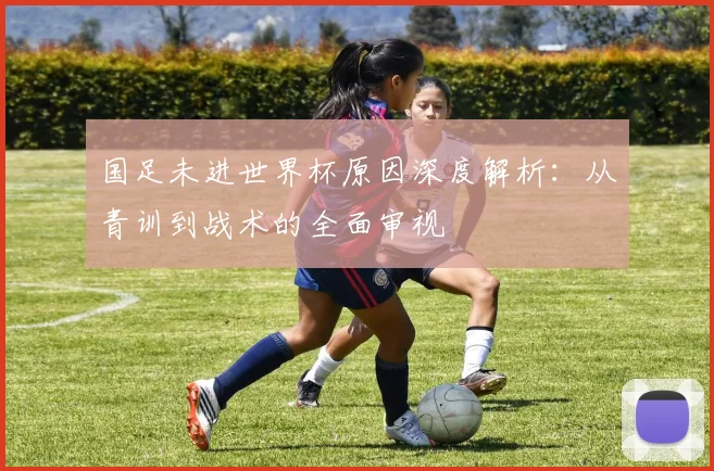 国足未进世界杯原因深度解析：从青训到战术的全面审视
