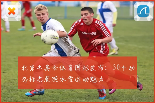 北京冬奥会体育图标发布：30个动态标志展现冰雪运动魅力