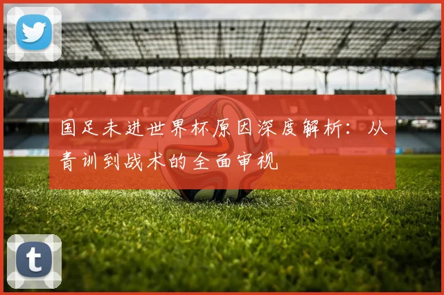 国足未进世界杯原因深度解析：从青训到战术的全面审视